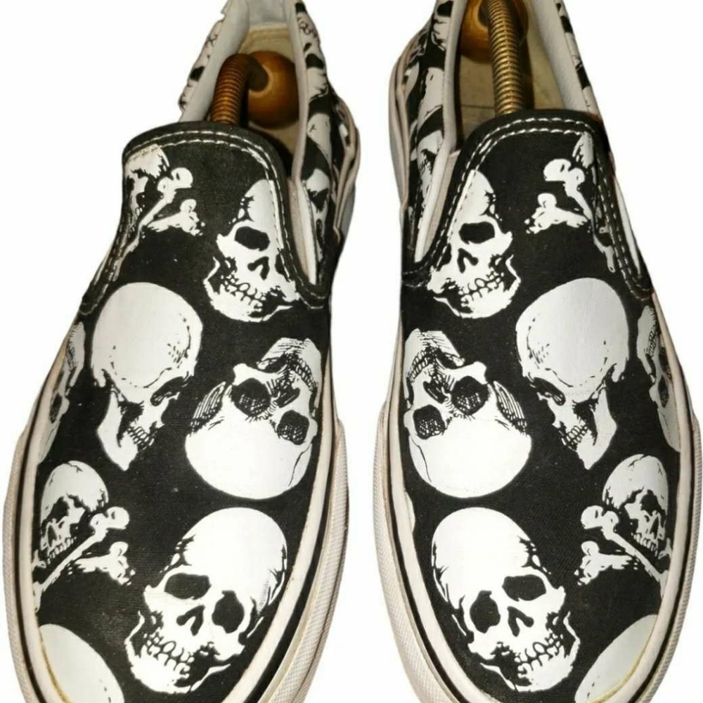 Vans slip on shoes